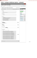 sf-13-BYOC - Configure (Additional options - collapsed)